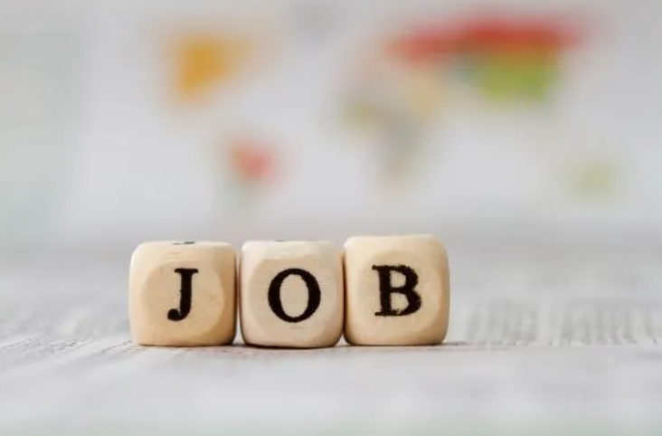 Internship Image